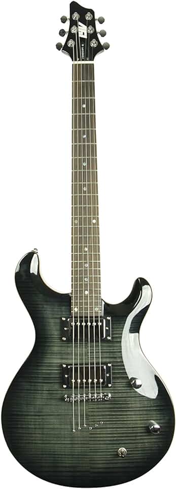 IYV 6 String IP-350 TBK PRS Solid-Body Electric Guitar, Trans Black